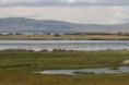 /album/el-calafate/el-cala-2012-123-jpg/